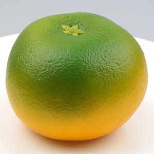 무게감 귤 모형 별꼭지 감귤 7.8cm 과일모형 WR