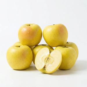 국내산 시나노골드 사과 노란 사과 가정용 소과 중과 1kg 2kg 3kg 5kg