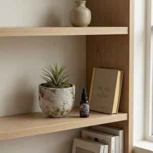 이오난사 식물 화분 스톤 디퓨저 방향제 테라리움 틸란드시아 집들이 선물 플랜테리어 공기정화