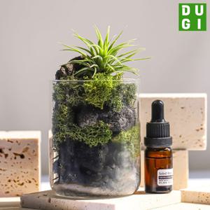 두기 이오난사 스톤 디퓨저