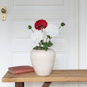 터치 다알리아 가지조화 2-color