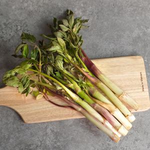 제철의맛 여수 향좋은 땅두릅 두룹 1kg