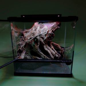 비바리움 DIY 키트 readyMADE. Leaf Basin 260301