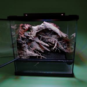 비바리움 DIY 키트 readyMADE. Marsh 260302