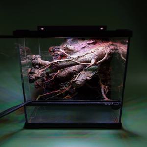비바리움 DIY 키트 readyMADE. Moss Hollow 260304