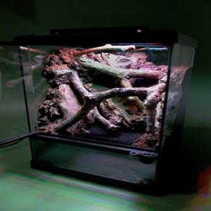 비바리움 DIY 키트 readyMADE. Wetland 260305