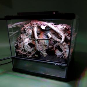 비바리움 DIY 키트 readyMADE. Lagoon 260306