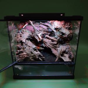 비바리움 DIY 키트 readyMADE. Driftpool 260307