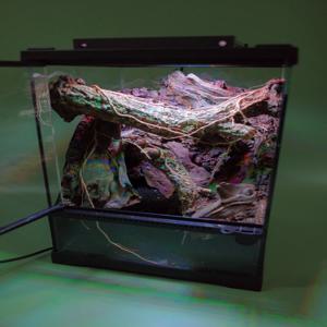 비바리움 DIY 키트 readyMADE. Dewfall 260310