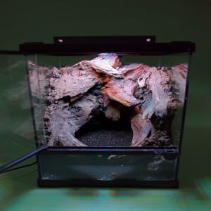 비바리움 DIY 키트 readyMADE. Canyon 260311