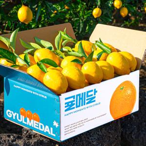 껍질째먹는 제주레몬 산지직송