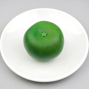 별꼭지 귤 모형 청귤 7.6cm 과일모형