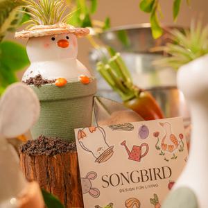 틸란드시아 이오난사 + 루틴투틴 1종 / 공중식물 미니화분 인테리어 탁상식물