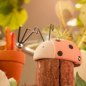 틸란드시아 이오난사 + 버그라이프 1종 / 공중식물 미니화분 동물화분 탁상식물 선물용