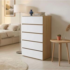 E0등급 LPM 모디트 대형 800 5단서랍장 서랍장 혼수 원룸