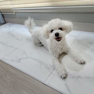 PVC 폴딩형 6mm 진공엠보 강아지매트 애견 반려동물 펫 미끄럼방지