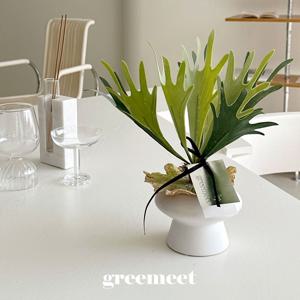 리얼플랜트 박쥐란 조화 화분세트