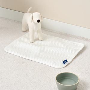 펫본 3도씨 슈퍼쿨 사각 패드