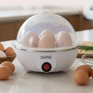 아우라 에그 스티머 DN-999EG