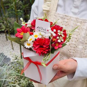 레드 카네이션 화분 케이스 꽃바구니 어버이날 부모님 선생님 선물 이벤트