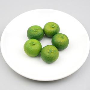 미니 귤 모형 청귤 그린 3.5cm 5개 과일모형
