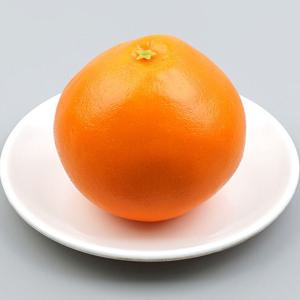 천혜향 자몽 모형 11cm 과일모형