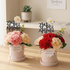 가정의달 메르시 비누꽃 카네이션 로즈 화분 쇼핑백 세트 향기로운 선물