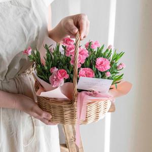 카네이션 생화 꽃바구니 가정의달 스승의날