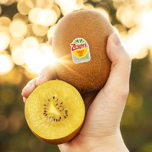 [4월15일 순차 출고] 제스프리 썬 골드키위 점보사이즈 (7~20입) 2.2kg 내외