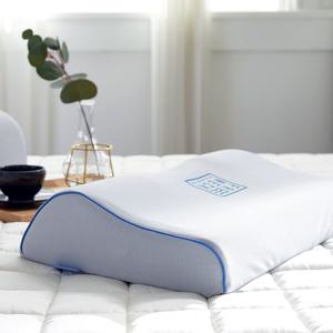 프리넥 바른수면 마스터 경추베개