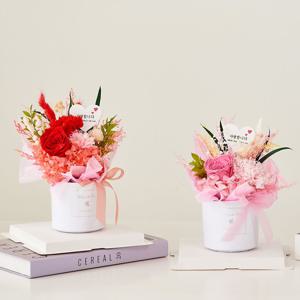 시들지 않는 생화 프리저브드 플라워 화분형 꽃다발 카네이션 장미 - 3colors (택1)