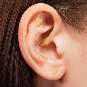 귀지압패치 600P 대용량스티커 혈자리 마사지 이혈테라피 지압 스티커