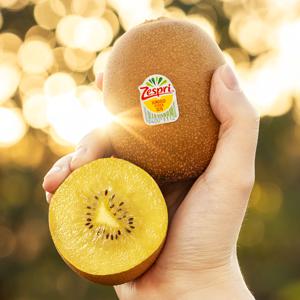 [신규입점] 맛젤 제스프리 골드 / 레드키위 9입~17입 사이즈 선택가능