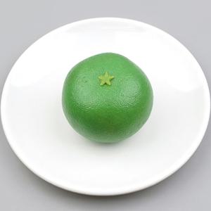 별꼭지 귤 모형 청귤 7.3cm 과일모형 슈퍼리얼카피
