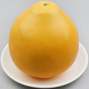 포멜로 스위티 자몽 모형 옐로우 13.7cm 과일모형