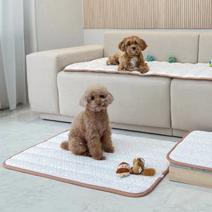 듀라론 쿨매트 강아지 고양이 쿨방석 냉감 패드 썸머COOL매트