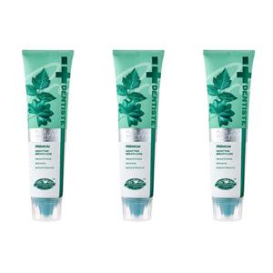 덴티스테 프로 플러스화이트 치약 160g x3개 구취제거