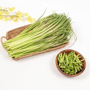 [고흥] 아삭하고 향긋한 제철 국내산 마늘쫑 1kg / 2kg