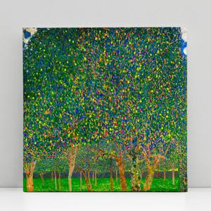 N_클림트 배나무