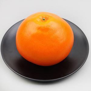 자몽 모형 천혜향 10.8cm 과일모형