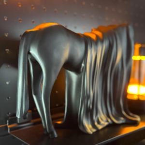 [해외] 베일드 홀스