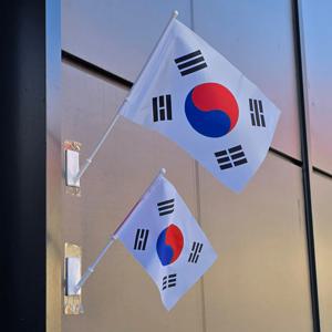 태극기 미니 대형 세트 깃발 가정 파티 행사 삼일절 독도 국가 창문 부착