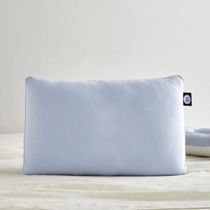 3도씨 익스트림쿨 찰떡아이스 몽글베개 40x60 블루