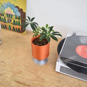 플랜트가먼츠 페플럼 플랜터_홍콩야자