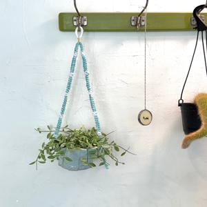 화이트디시디아 빈티지팟 행잉 벽걸이식물