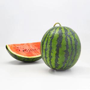 제철가득 하우스 가정용 수박 5kg