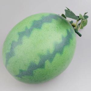 수박 모형 19.5cm 과일모형