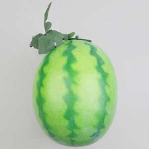 수박 모형 22.5cm 과일모형