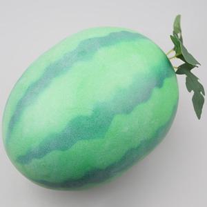 잎사귀 수박 모형 24cm 과일모형