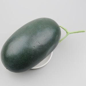 블랙망고 수박 모형 옐로우스위티 27cm 과일모형